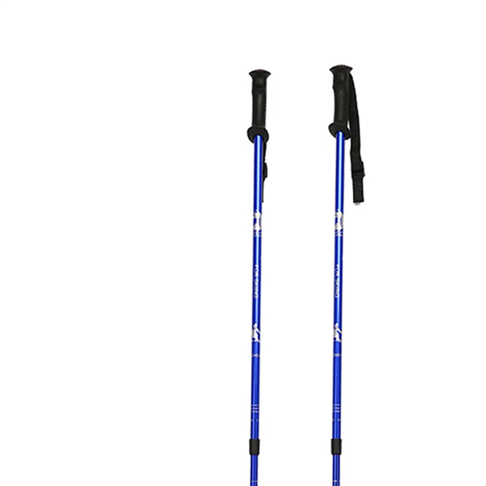 Ski Poles with Lock System & Ergonomic Grip for Adults & Kids