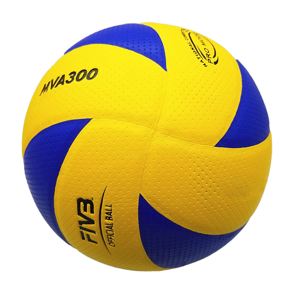 Size 5 PU Volleyball Soft Touch Indoor/Outdoor Training Ball